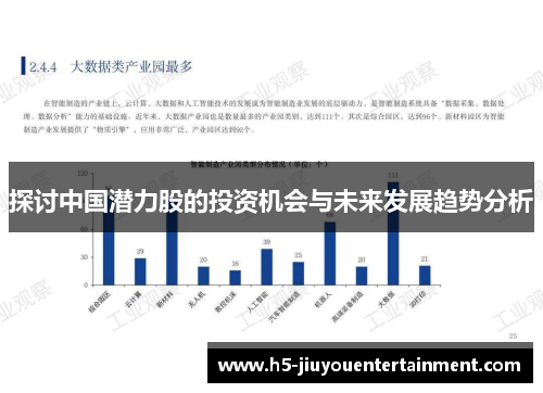 探讨中国潜力股的投资机会与未来发展趋势分析